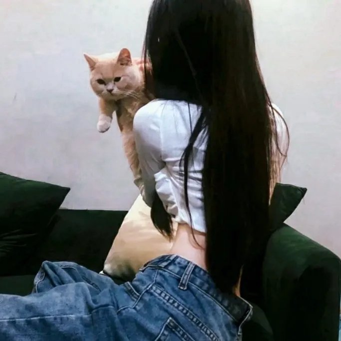坚不可摧:救赎之路